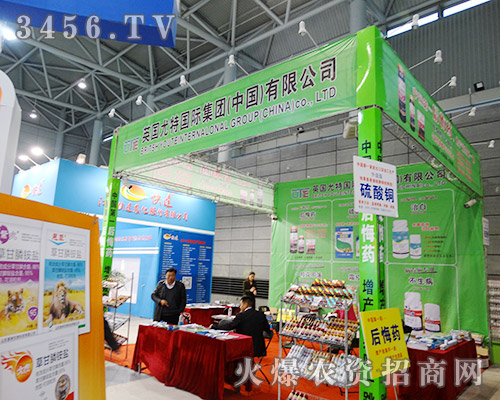 2015Ϸֲ(hu)ӢؼF(tun)