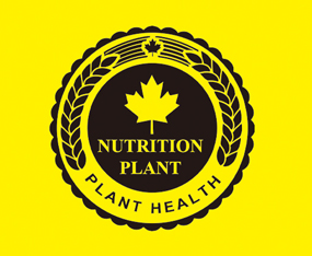 ЅRɽ|r(nng)I(y)F޹˾