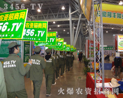 ˵ĳɹ(li)Դڻ𱬈F(tun)(du)Ċ^(zhn)