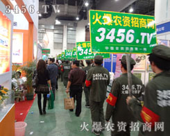 չʾ𱬑(zhn)ʿL(fng)׌ഺY(ji)۴T