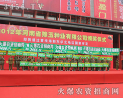 (hu)(chng)(ni)̎̎ʬF(xin)𱬬F(xin)