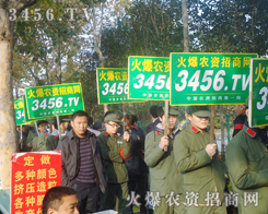 L(fng)˝(j)溣ieL씈