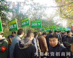 Gɫ܊bV͑P(gun)עĿݰ