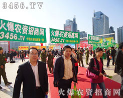 ɽ|ֲϣ𱬾W(wng)(chung)º_M(jn)е