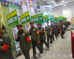 ɽ|ֲ(hu)Äݴ(qing)׌