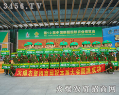 F(tun)Y(ji)ѐͻľ׌˸Є(dng)