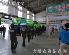 r(nng)Y̾W(wng)2013|ϕ(hu)^һ(g)չʾęC(j)(hu)