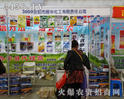 A2013Lr(nng)ˎ˳Ĝʂ