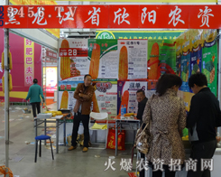 2013Lϕʡr(nng)Y