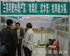 2013LϕϺʘI(y)P(gun)ע