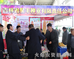 ʡSNI(y)ڵ6Ö|ʡrώ®aƷ