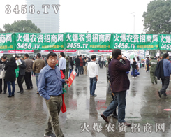 ӭϼϼr(nng)Y̾W(wng)(jin)ֵ