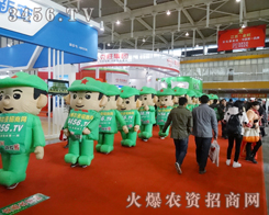 ϻr(nng)YW(wng)׌ĴL