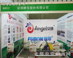 Vĺã簲ĸ˾2013ֲú