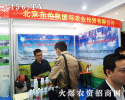 |P2013ðr(nng)Y(hu)