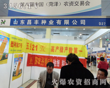 SNI(y)¡؅չڰˌúʝr(nng)Yו