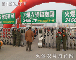 r(nng)Y̾W(wng)(zhn)ʿSˬӢ˸Ⱦÿһ