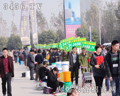 3456.TVչ(hu)(zhn)(chng)(jin)־Ǆ