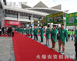 r(nng)Y̾W(wng)o2015όr(nng)Y(hu)ʲe(cu)^(gu)