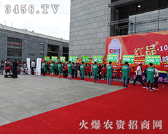 ¿಻L(fng)԰P(yng)