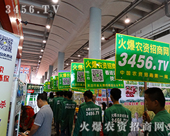 𱬾W(wng)F(tun)(du)չ(hu)(zhn)(jin)־Ǆ