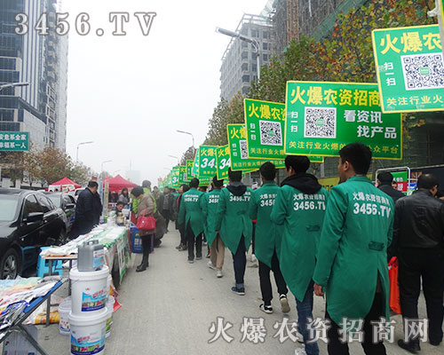 r(nng)Y̾W(wng)2015ֲϷv