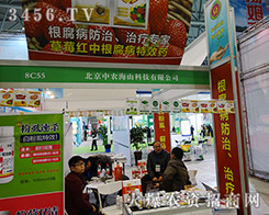 2015ϷֲĻr(nng)ɽƼT