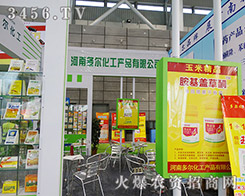 2015ֲp϶ࠖͣ