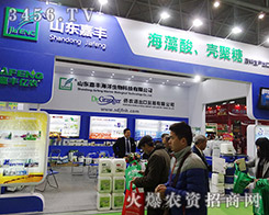 2015ֲSƼ|(zh)(wn)һ