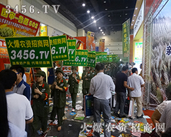 2015ļNӕ(hu)o(w)̎