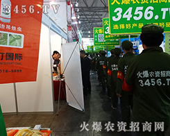 Gɫ(zhn)ʿ҂Ŭ𱬓P(yng)