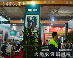 ϲrI(y)2015rY[ϏVܲĿ