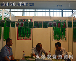 ǰM(chung)·NI(y)һL