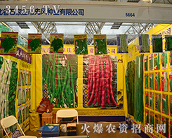 LNI(y)ya(chn)Ʒ2015r