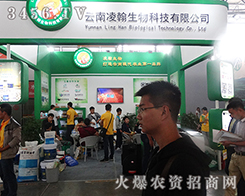 躲2015r(nng)(hu)(zhn)(j)Ȼ