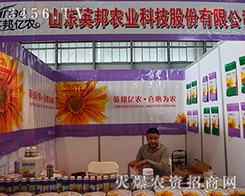 ɽ|Ӣr(nng)I(y)2015r(nng)(hu)