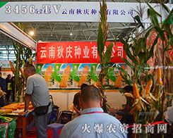 cNI(y)îa(chn)ƷӲ