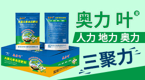 ؑcW~Wr(nng)I(y)Ƽ޹˾