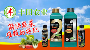 ۹Sr(nng)I(y)Ƽl(f)չ޹˾