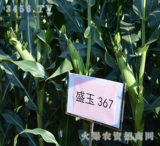 ʢ367^ĦD-׷N-ʢNI(y)