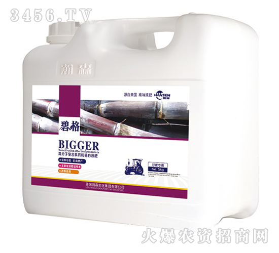 ጣø߷ӏͺЙCҺʣb-̸-ɭ