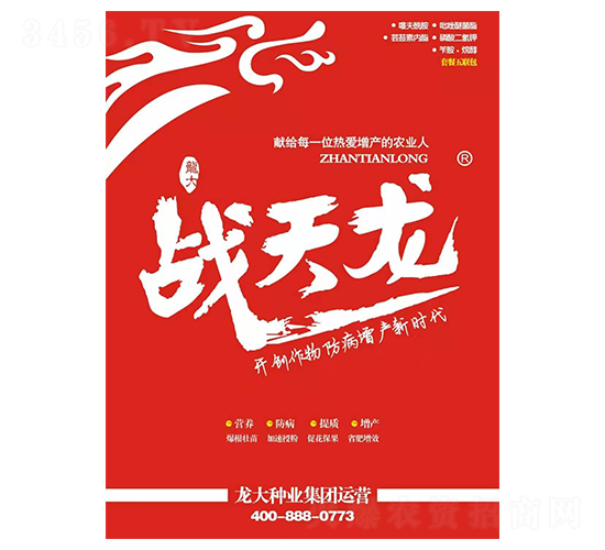 小麥套餐-戰(zhàn)天龍-龍大種業(yè)