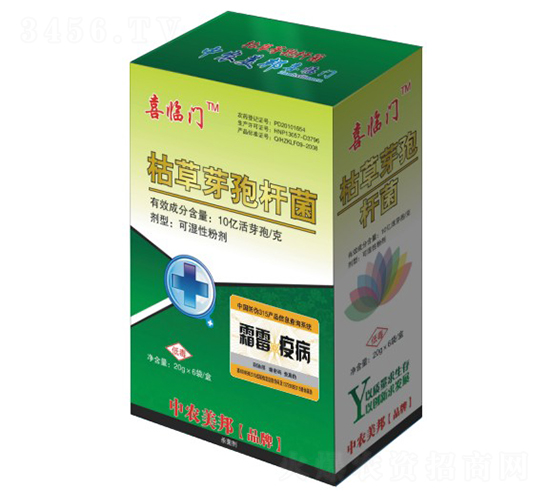 ݲѿߗU˪߲-ϲRT-r(nng)