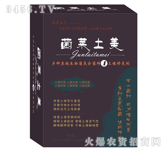 ޏ̈́-R1̖-׿r(nng)I(y)