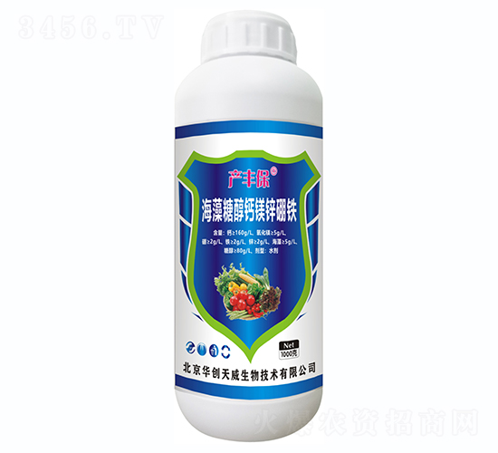 Ǵ}V\F-a(chn)S-A(chung)