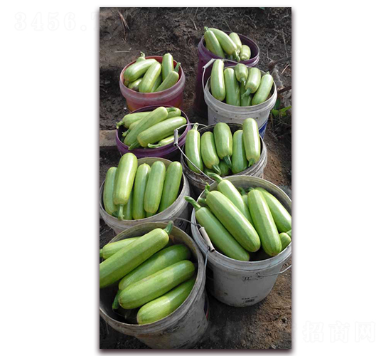 r(nng)֮(rn)һ̖(ho)JN