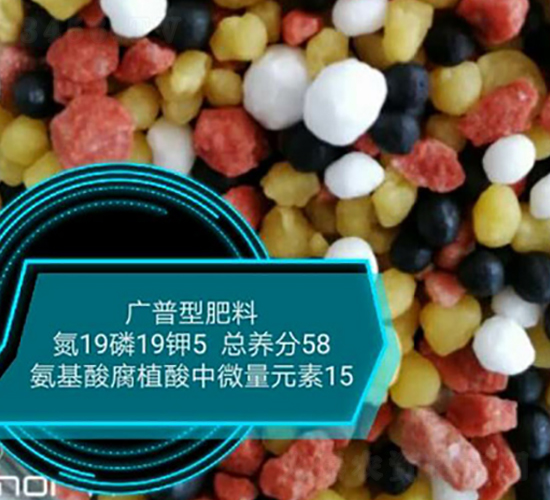 ḯֲ΢Ԫ19-19-5-rrI(y)