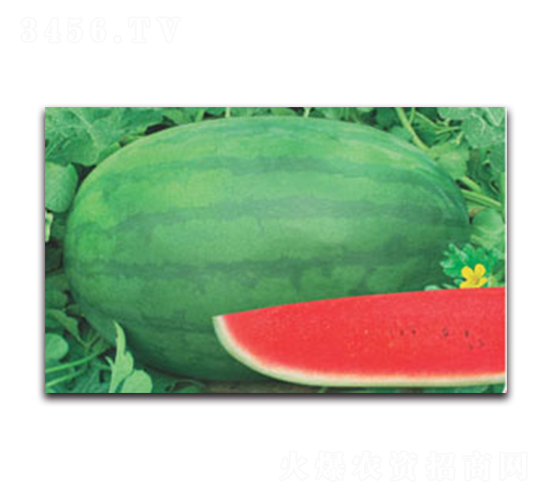 ޿̖(ho)-ϷN-ӯr(nng)I(y)