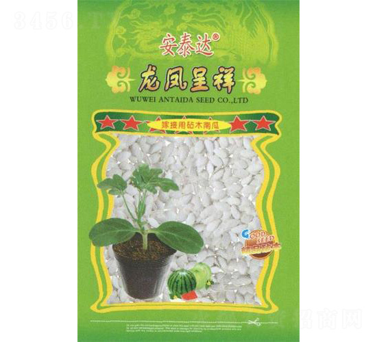 龍鳳呈祥-瓜類砧木-安泰達