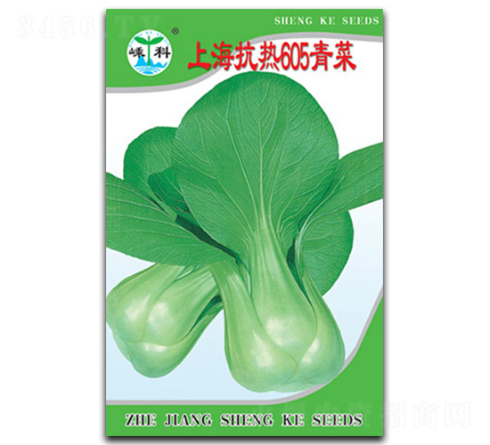 Ϻ605-˷N-ӿƷNI(y)